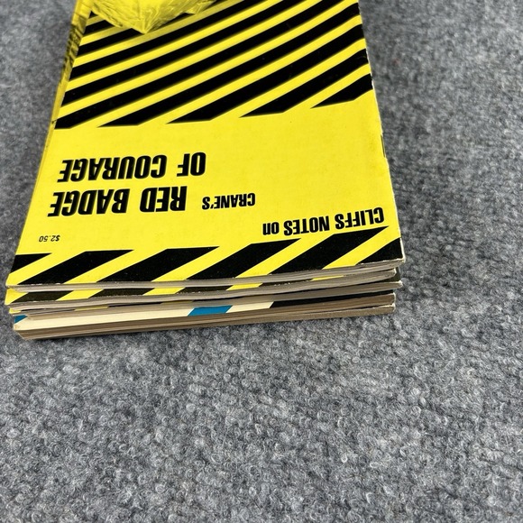 Lot Of 6 Cliffs Notes Coles Notes Catch-22‎ Scarlet Letter Red Badge Vintage - Picture 7 of 9